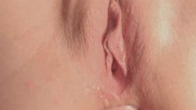 my asshole inspection