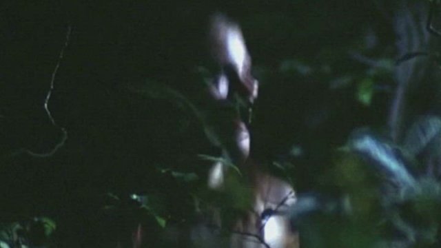 Patricia Tallman (Knightriders)