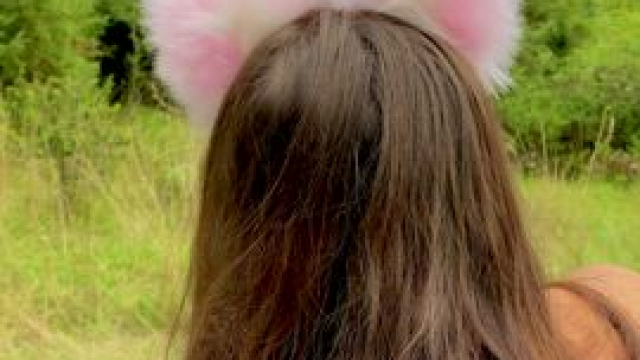 Congratulations you just found a tiny French in the wild!