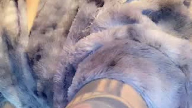 Let's get weird tonight