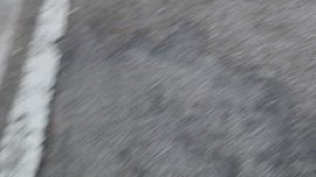 Welcome to Miami!! [f]