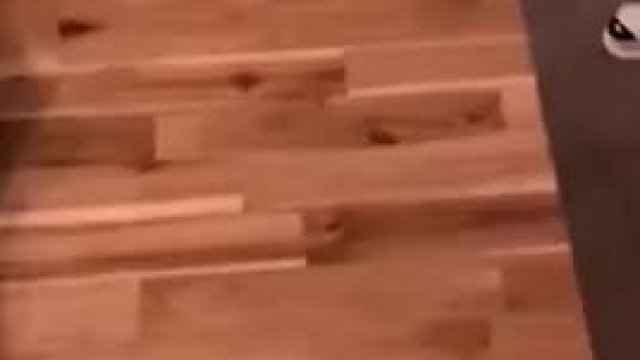 The upside blowjob with big boobs wife