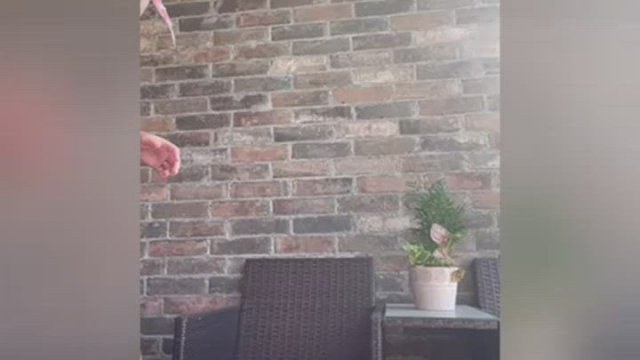 [OC] Just your average Mom! [32f]