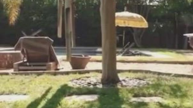 Gardening isn't as boring as you think.