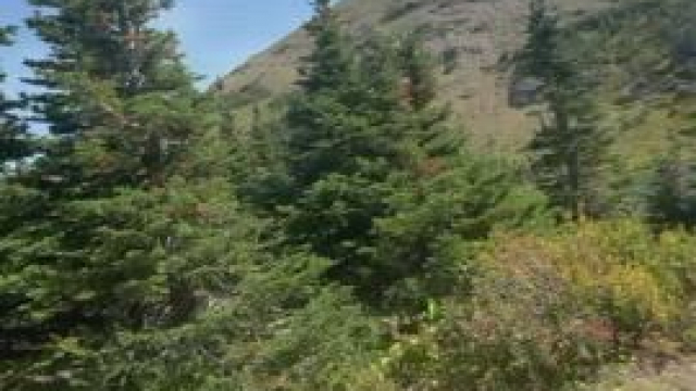 Can't wait for days like these soon