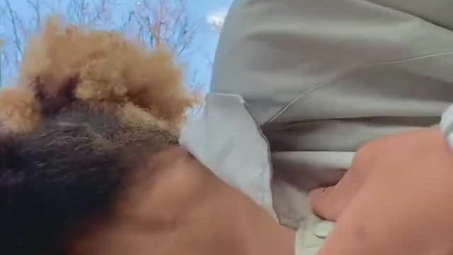 Would you bang me in the forest?