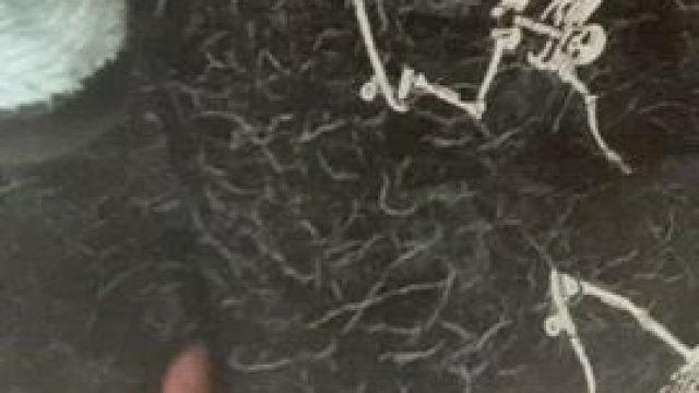 I hope I don't make you lose control when you see my big tits