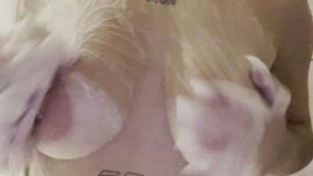 Tits make your day much more beautiful