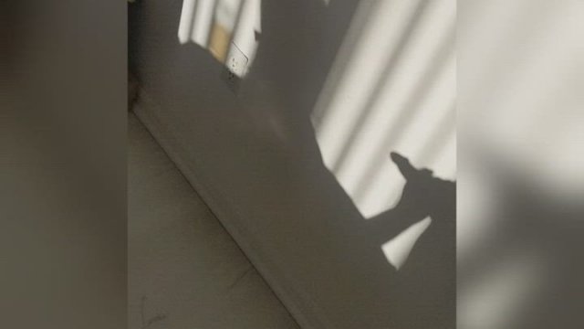 Miami Sunrises m34f32