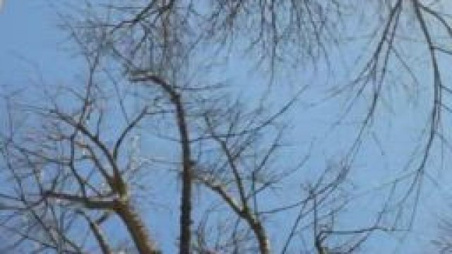 Bimbo fuckdoll multitasking