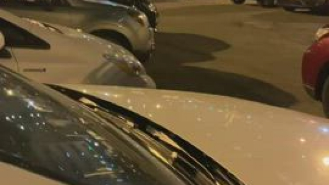 Wouldn’t let him come upstairs until he let me pull his cock out [GIF]