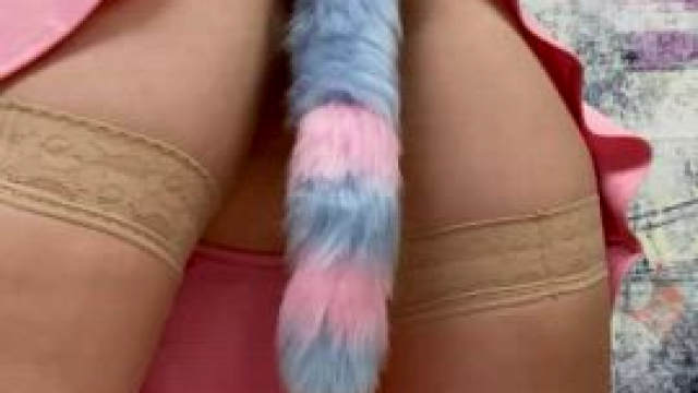 My new tail plug is so sexy