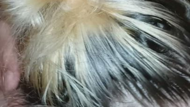 It's been awhile! I had a lot of fun with him. I love feeling his bbc in my mout