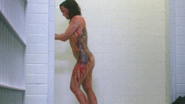 Danielle Harris - Hatchet III (2013)