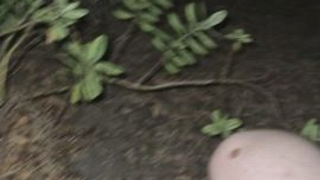 one of my favourite things is being fucked love a woman in public, this one was