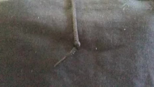 Anyone awake? :) [f]