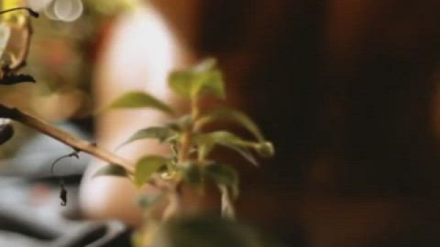 Andréia Horta - O Jardim Secreto de Mariana (2021)