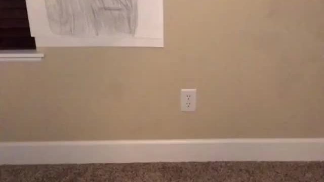 If a picture is worth 1000 words then what is this worth?