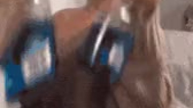 Squeaky clean mirror tiktok