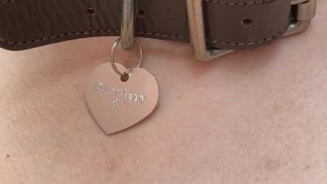 Alleys are where I have the most fun [GIF]