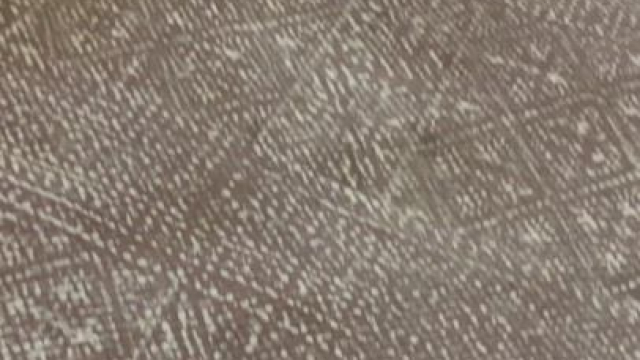 My daily contribution for you! I love you