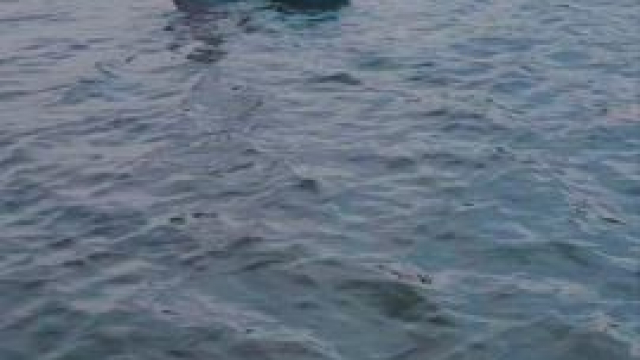 Risky but worth it [gif]