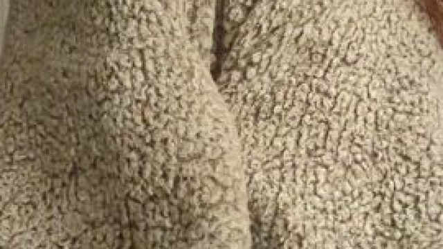 My friends say my tits are so suckable, so let's test that!