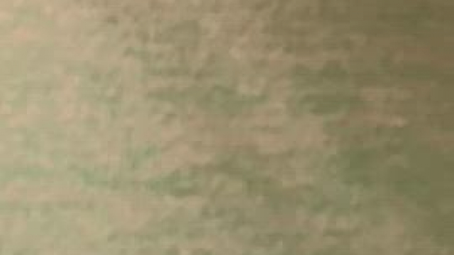 I got this new gym outfit!