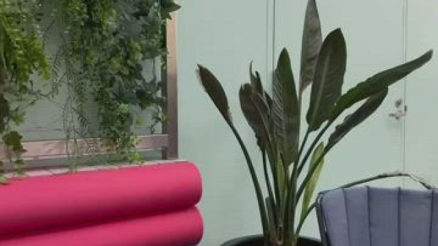 When I'm One Cocktail In