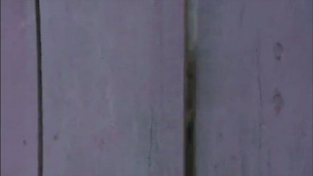 Sakina Jaffrey (Linda from House of Cards) in Cotton Mary,1999