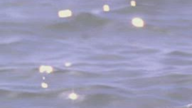 Halle Berry in Die Another Day