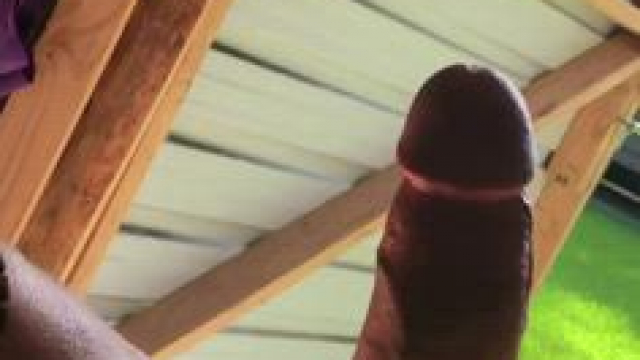 Had to take a break while cleaning out the shed.