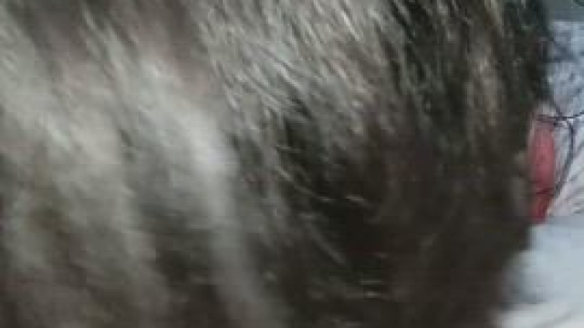 Sucking off one of my husband's friends cock while the other cums inside my ass