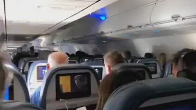 When the flight too long for kissasins