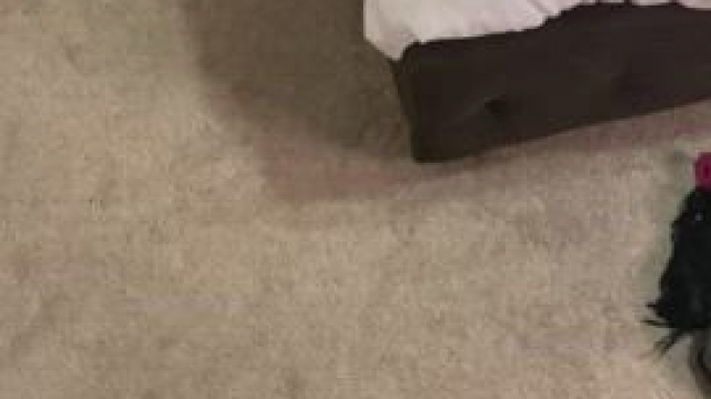 How am I supposed to work when he’s walking around with his big cock out