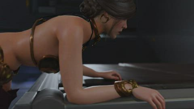 Princess Leia and Boba Fett (PN34)