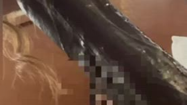 And for my next trick.. I make this BBC disappear! [oc]