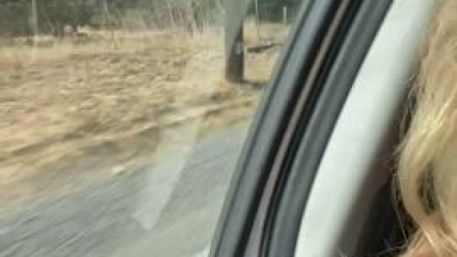 My friends and I make driving in the car pretty fun