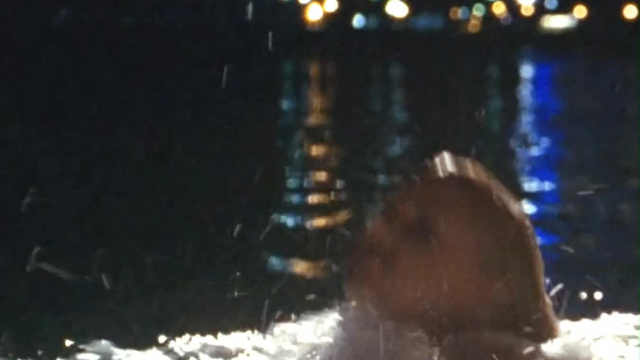 Anna Faris - What's Your Number? (2011)