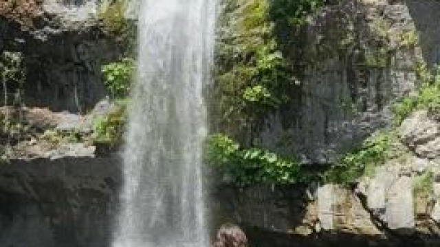 My own little slice of paradise