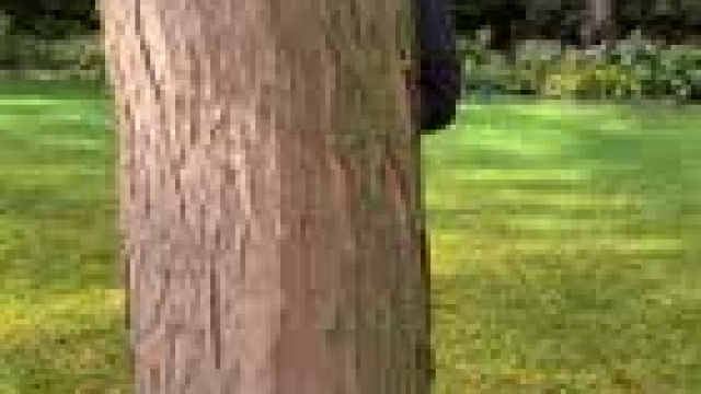 I know how to take a big load