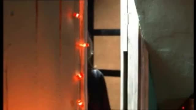 Lauren Cohan, Meet My Parents Plot, Van Wilder: The Rise Of Taj