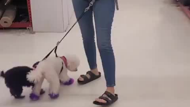 When she says let's go shopping, you say yes!