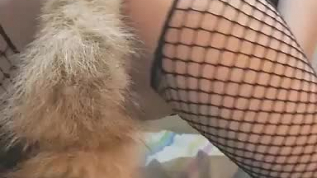 i love how feel my tail inside, but i need more, can you give me what i need