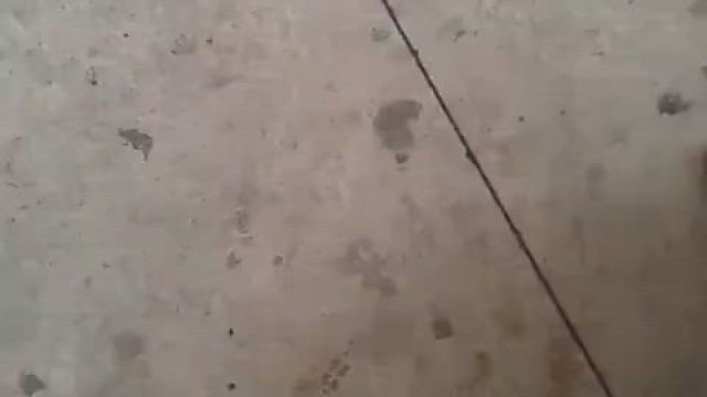 Had too much to drink