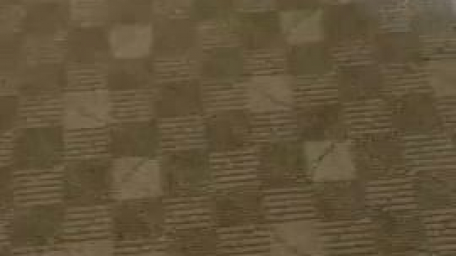 Holly Milkers Updated Free Pack