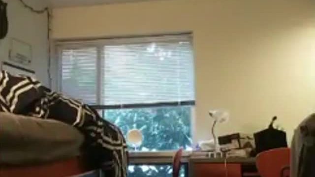 A little morning booty shakin