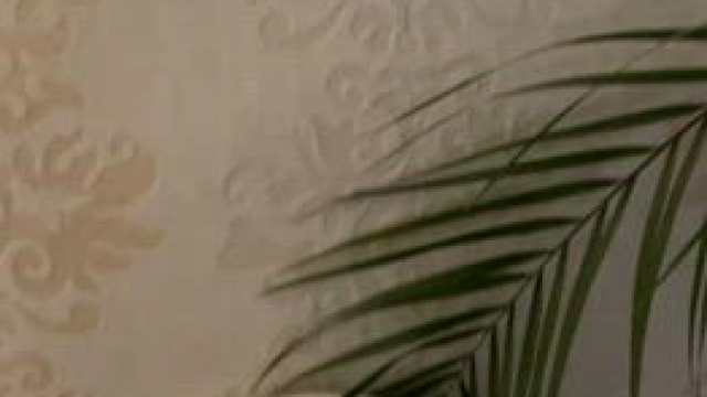 My shirt is too small