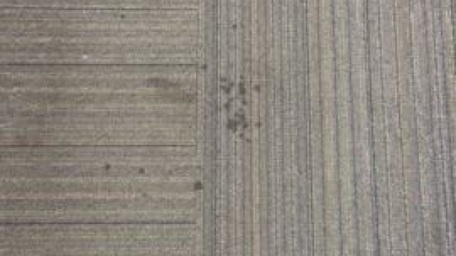 I went to the bookstore