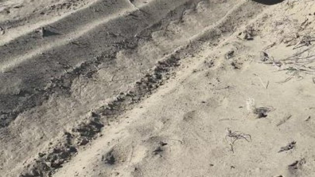 I finally got the courage to ride with nothing on